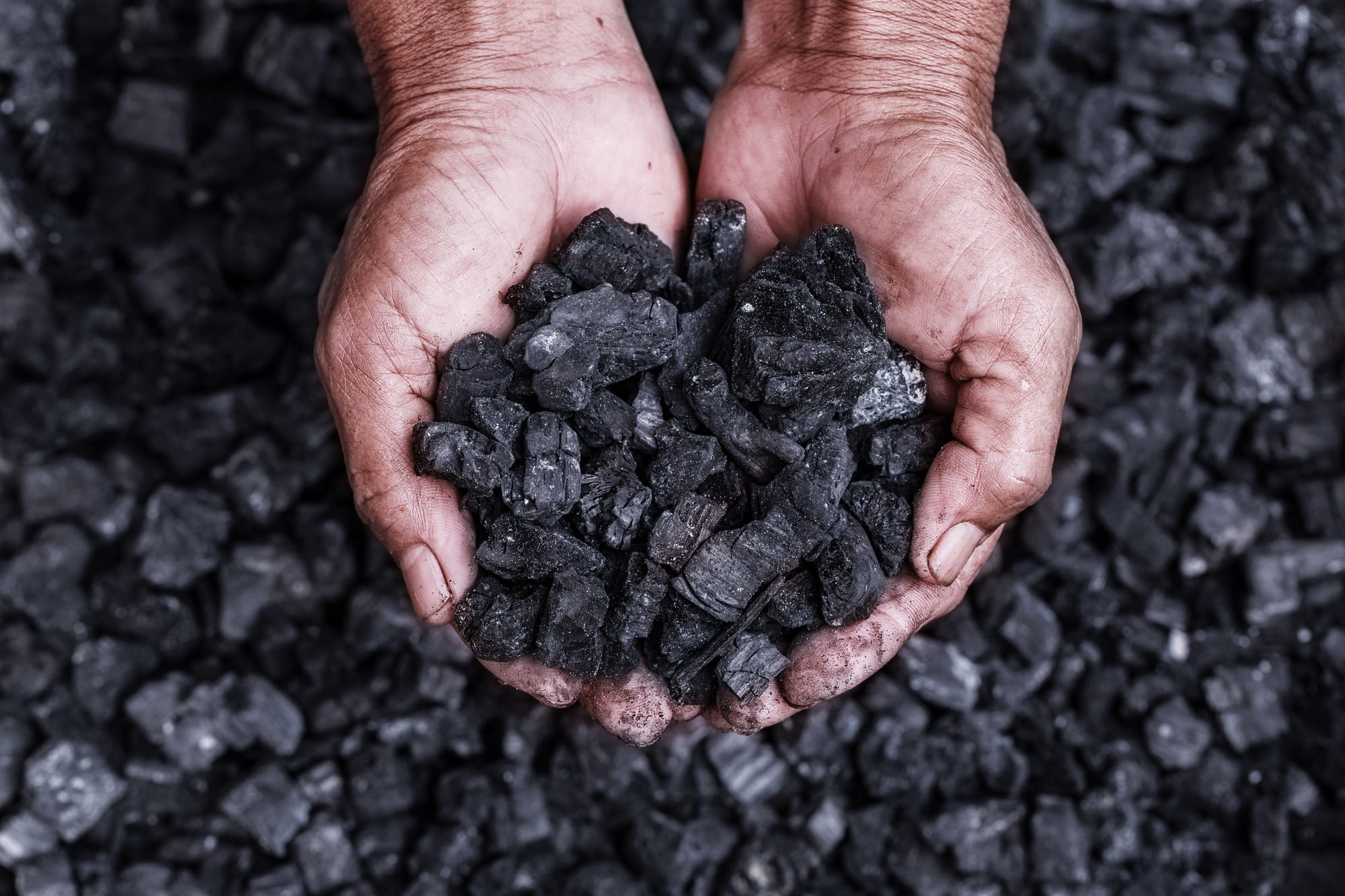 Pace of coal import growth declines from over 21 pc to below 2.5 pc in last decade: Govt