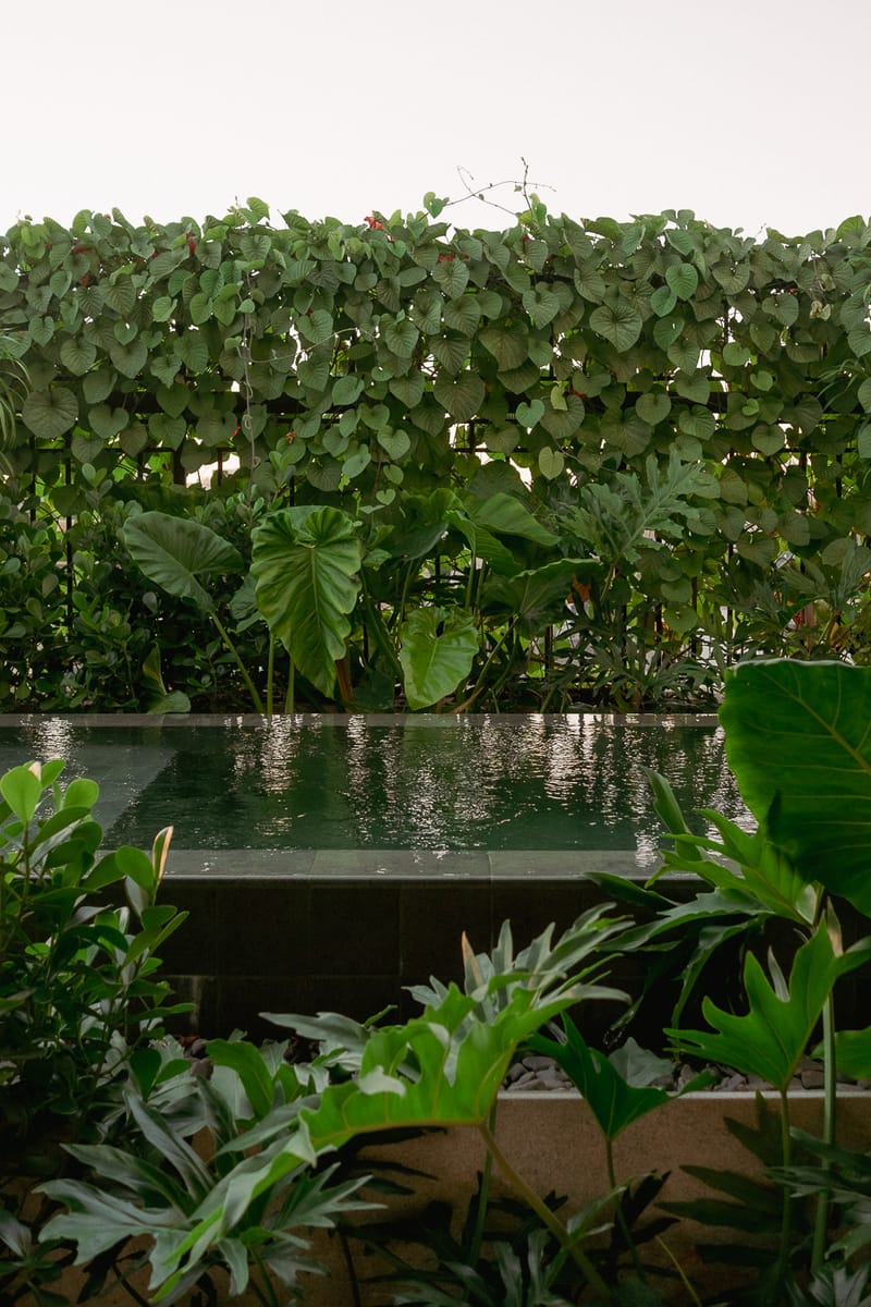 OBRA TUPI - Estudio BG