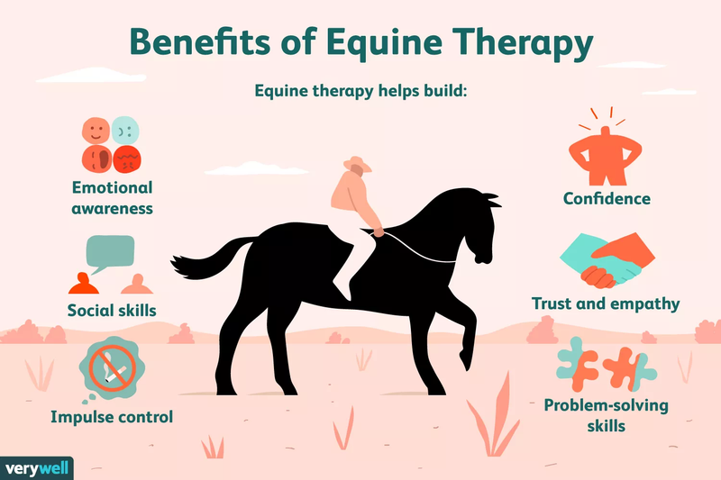 Using Equine Therapy as Mental Health Treatment: What do horses bring to the therapeutic process?