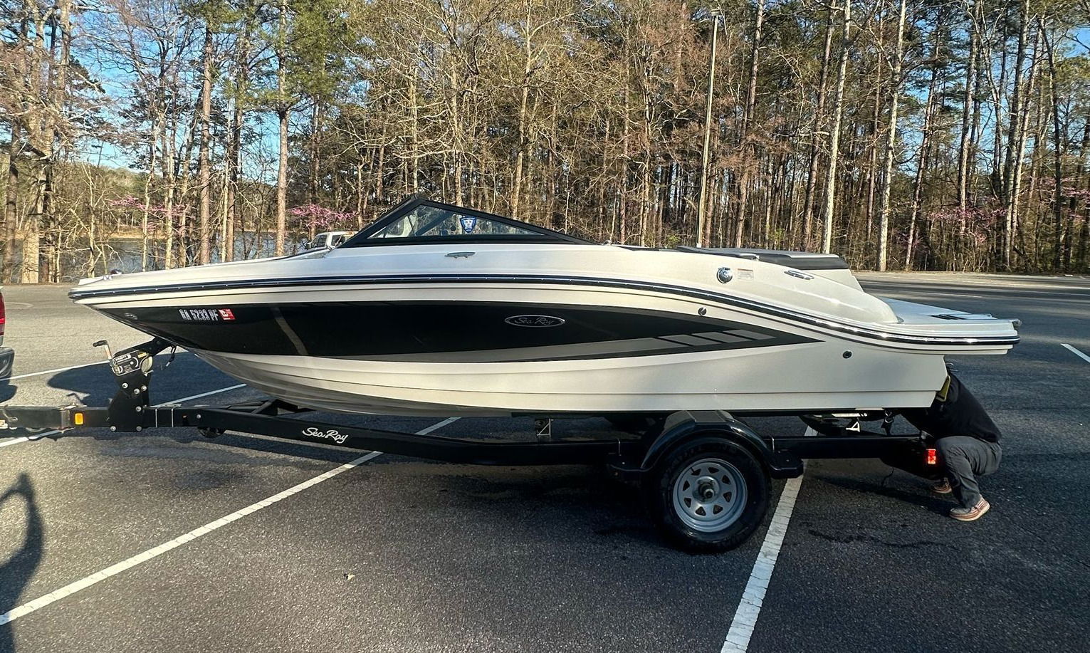 Sea Ray 190 SPX 2017