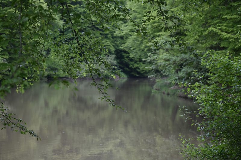 Tavaszköszöntő önismereti körtúra a Börzsönyben