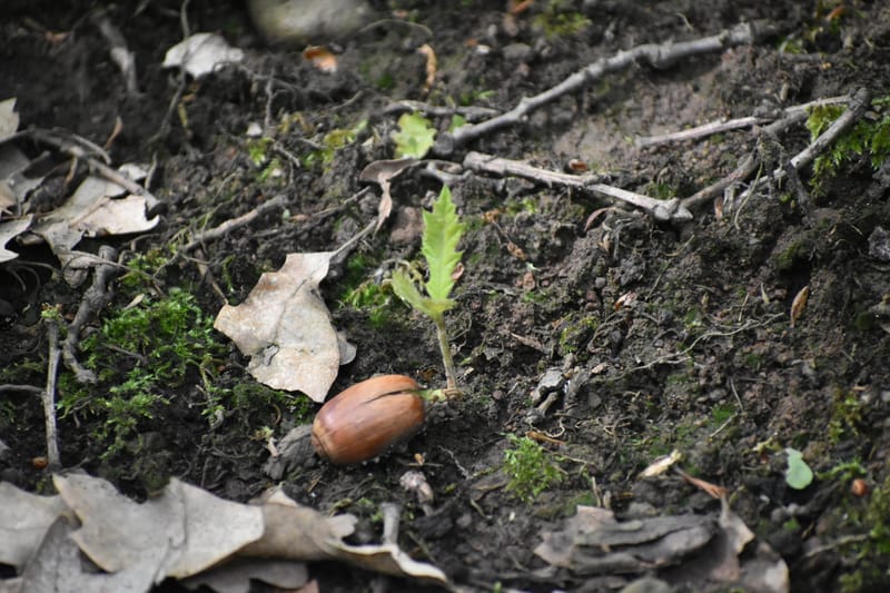 Tavaszi természetfürdő