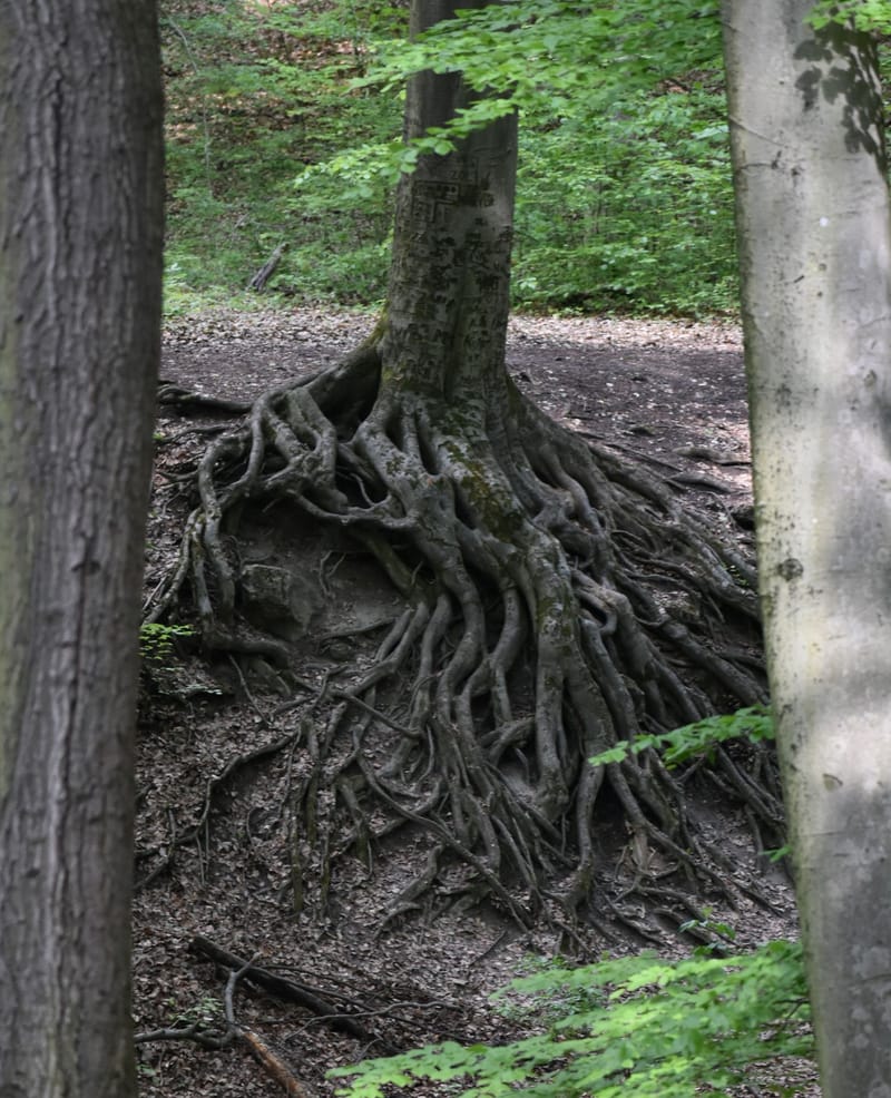 BETELT| Egymásra hangolódva – A kapcsolódás művészete – önismereti túra újratervezőknek, társra vágyóknak