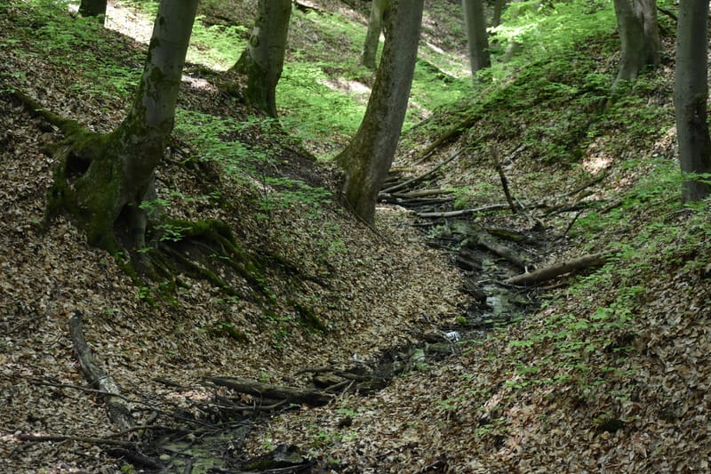 Újratervezés – Belső erő és útkeresés coaching túra