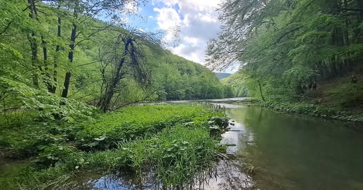 Tavaszi természetfürdő a Börzsönyben