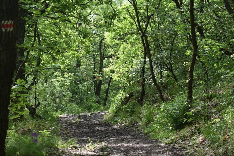 Mozgástér - mozdul bennem valami