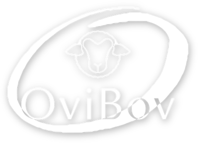 ovibov.com