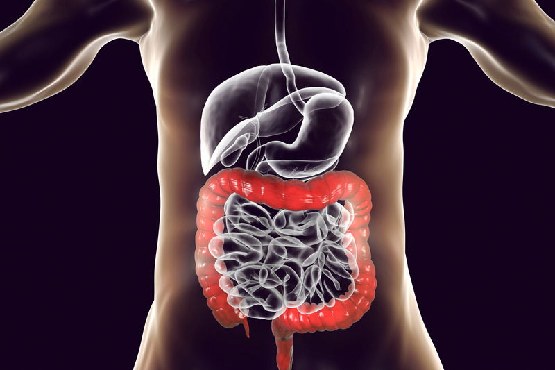 Restoring Balance: Why Your Gut Biome Is Essential