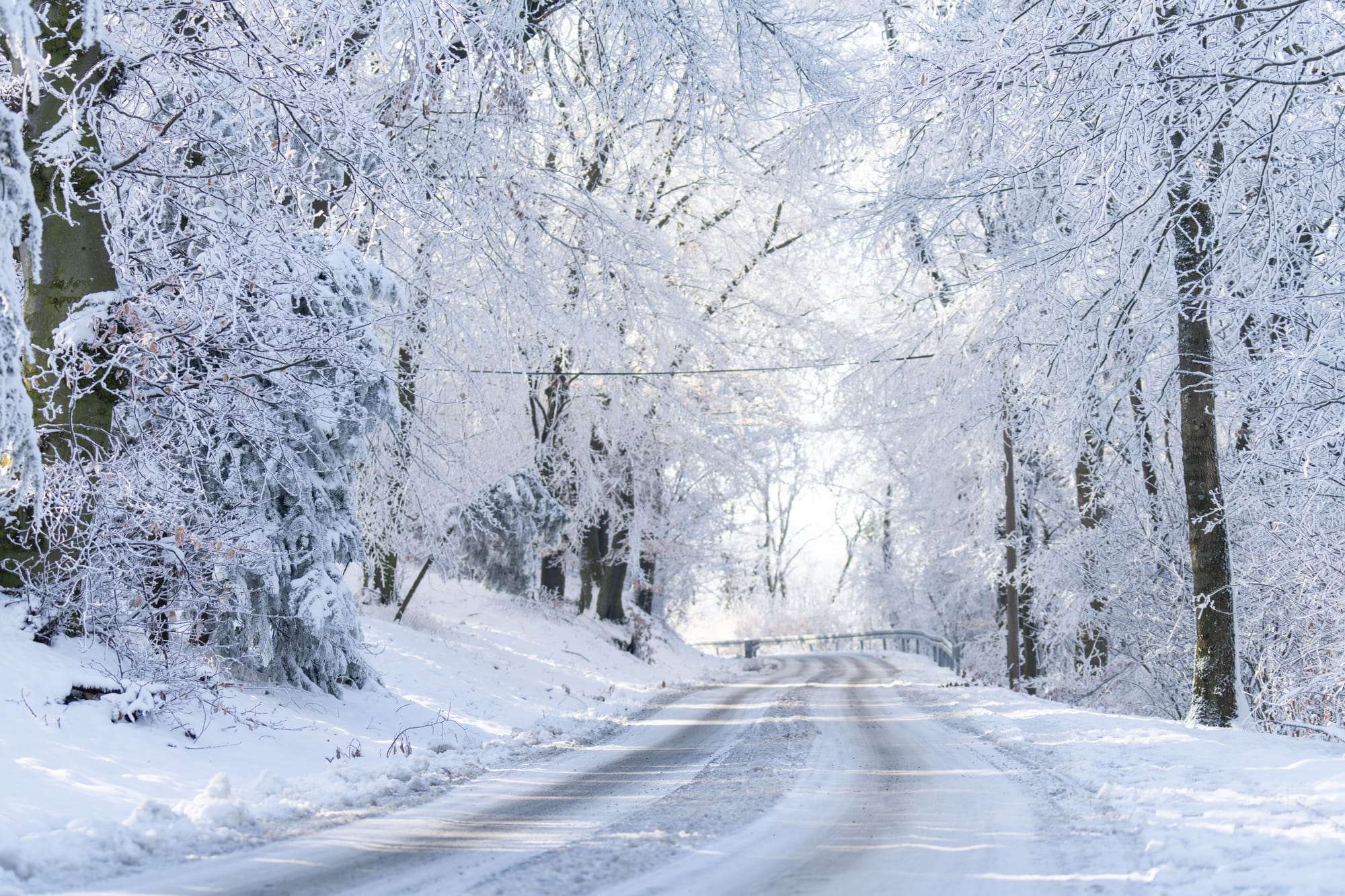 Newsletter - December 2025