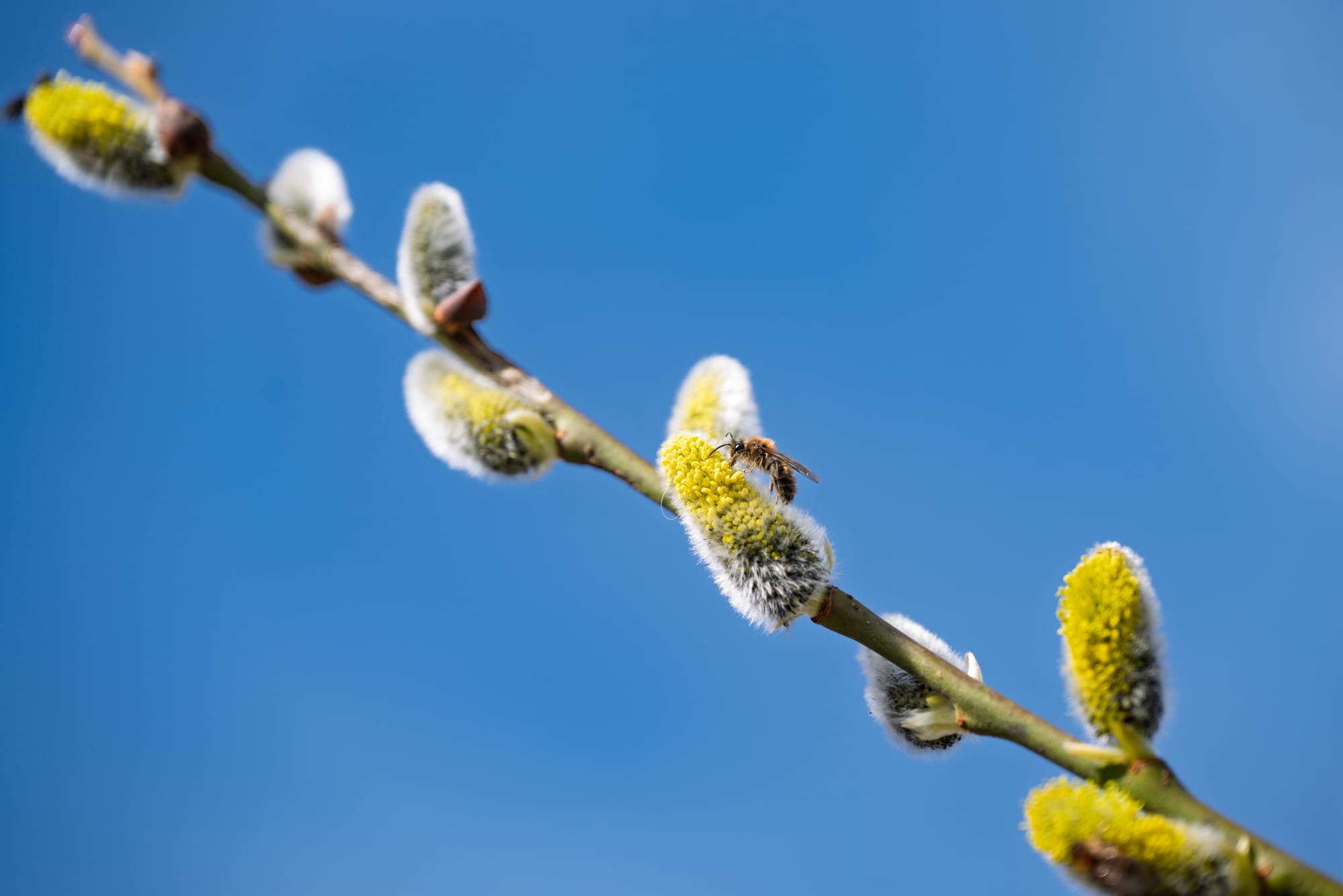 Newsletter April 2026