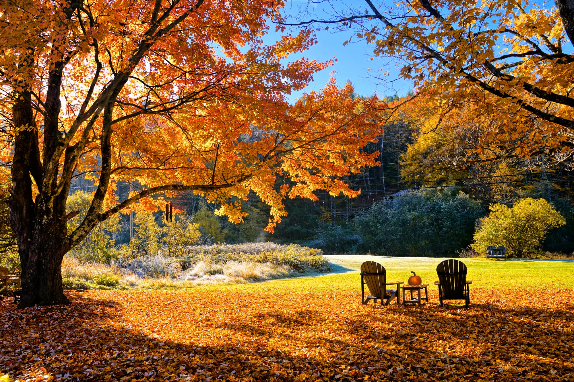 Newsletter October 2026 & AGM Minutes 2025