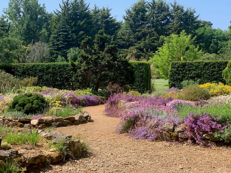 MEMBERS OPEN GARDENS