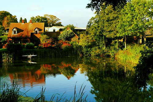 Annual Garden Trip Trip to Bodenham Arboretum and Johns Garden