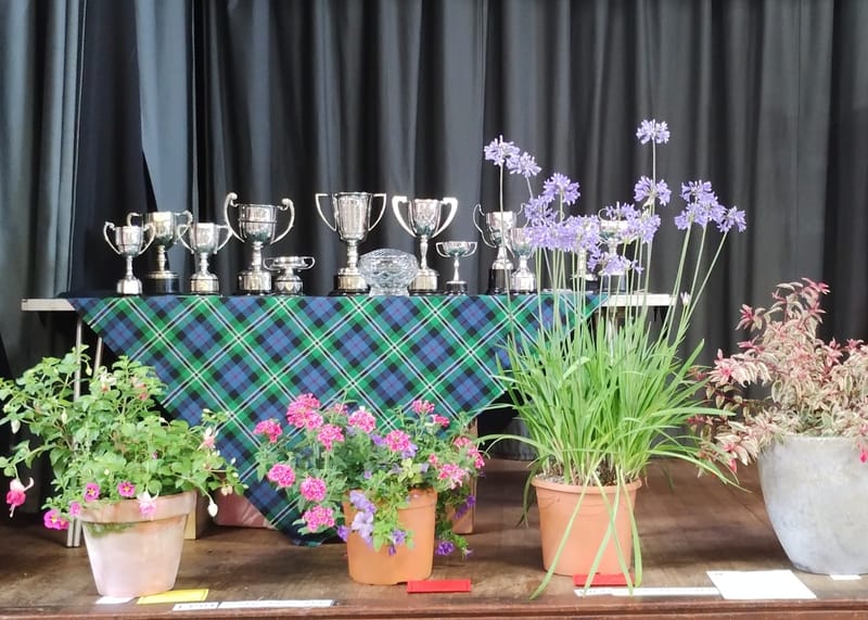 Annual Flower and Produce Show 2025