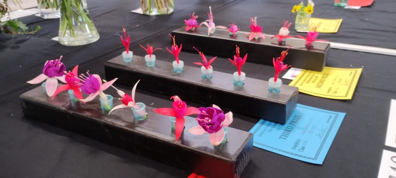 77th Annual Flower and Produce Show