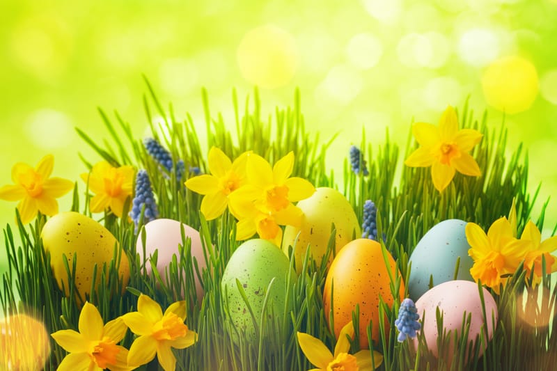 Newsletter April 2025