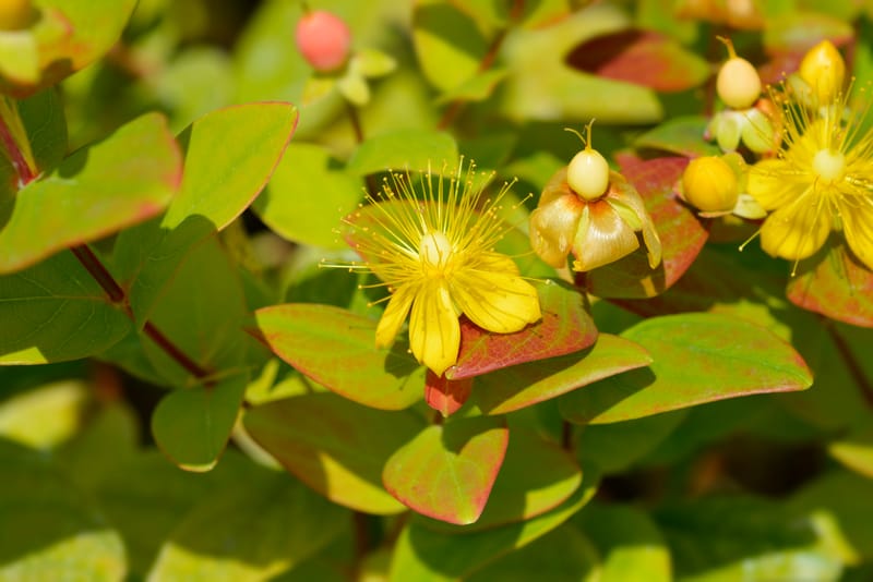 January Speaker Evening