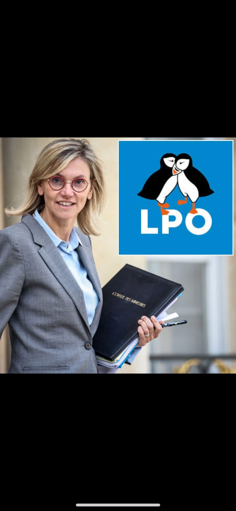 Pétition, Moratoire, ouverture et fermeture anticipée