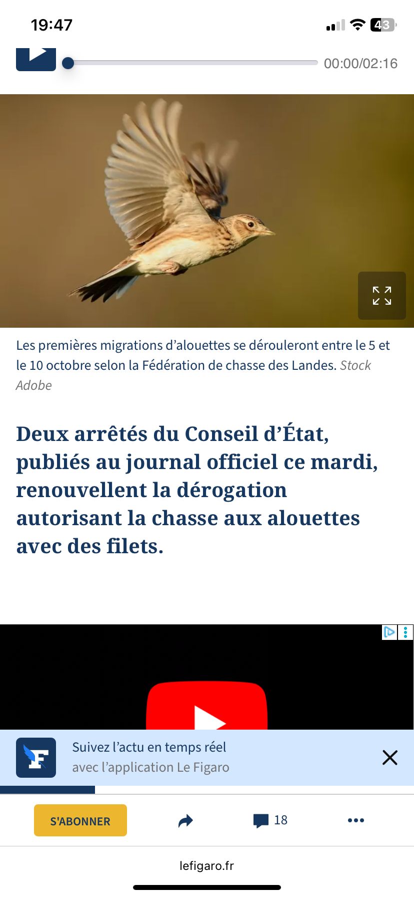 Chasse aux pantes