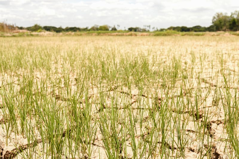 Global Weather Update 24/01/2025