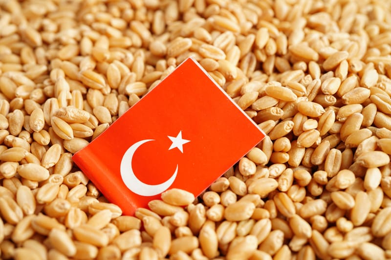 Turkish Wheat Import Reforms and Global Supply–Demand Dynamics