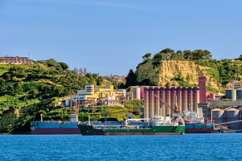 Why Vegetable Oil Prices Are Sliding – A Global Market Breakdown