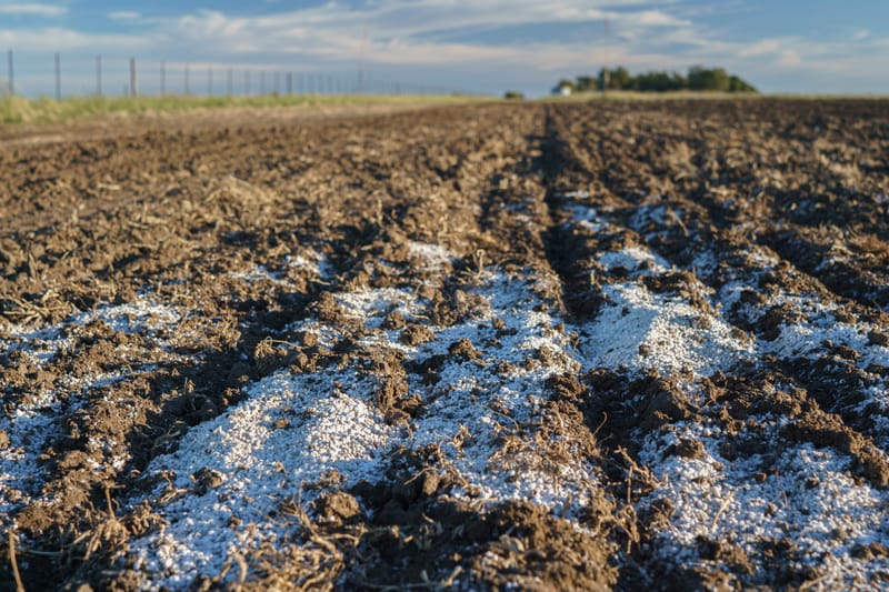 Argentina's Fertilizer Market Outlook for 2025