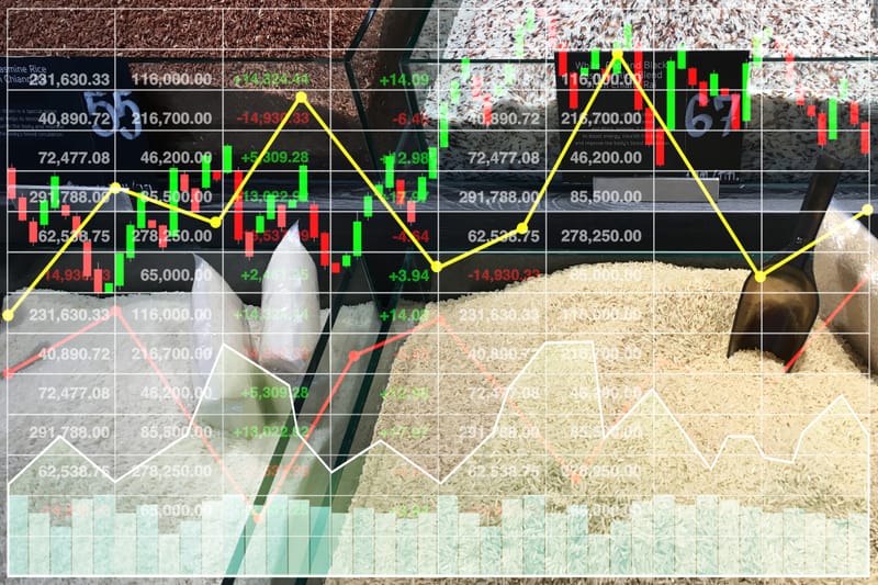 Owning the Flow GrainFuel Nexus® 2025/26 CEO Market update & Execution Playbook
