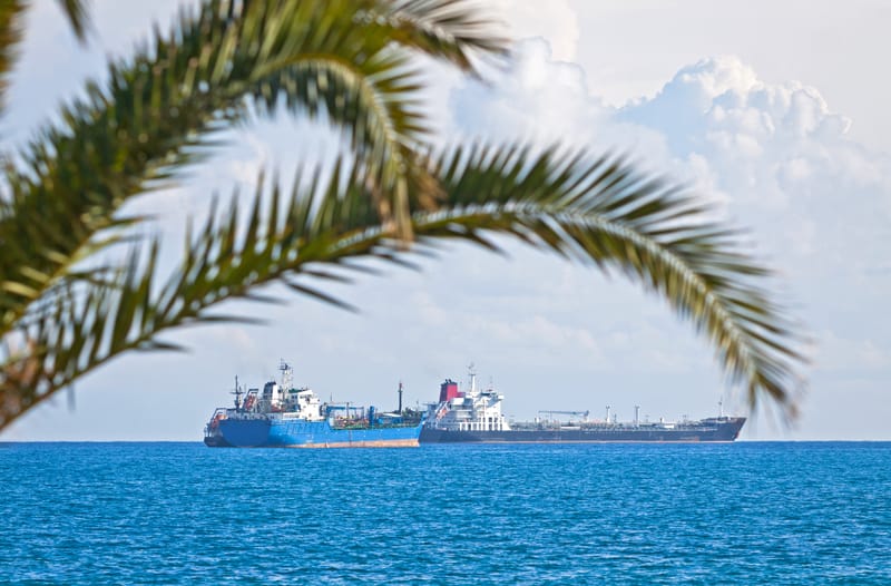 Palm Oil Market Update