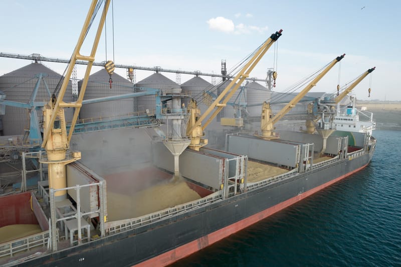 What India's Export U-Turn Really Means for Global Wheat Market | Ukraine’s Staying Power !