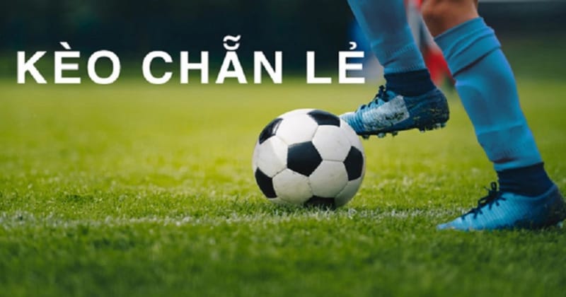 Kèo Chẵn Lẻ – Những điều cần lưu ý khi đặt cược kèo Chẵn Lẻ