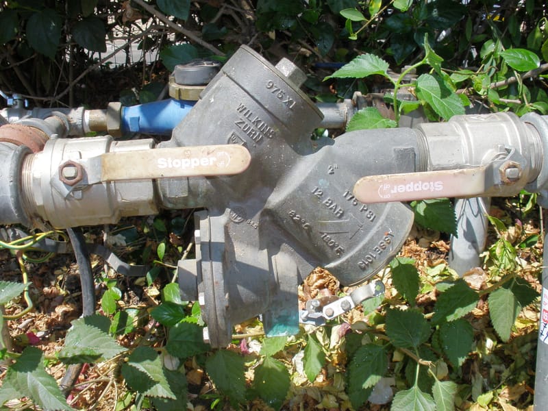 ווילקינס "2 באחד המושבים בשרון.