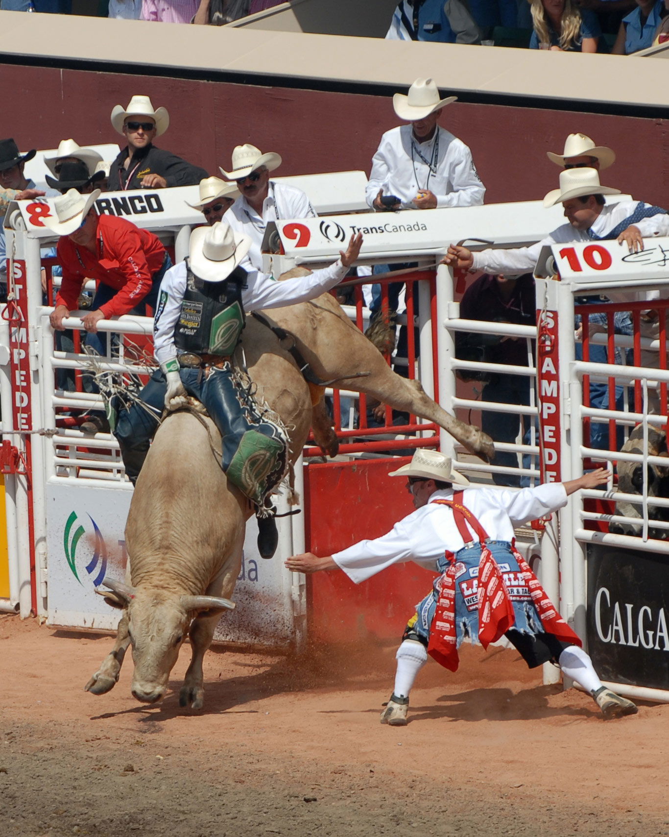 EXTREM BULLRIDING SHOW. Uniquement le samedi 11 juillet et dimanche 12 juillet de 16h00 à 18h00.