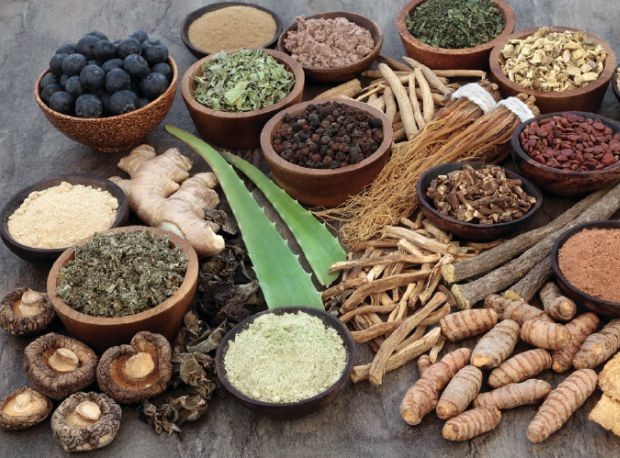 immunotherapy in ayurveda