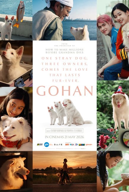 Gohan: Kisah Anjing Jalanan Yang Mengajar Erti Kasih Sayang, Kehilangan Dan Kesetiaan