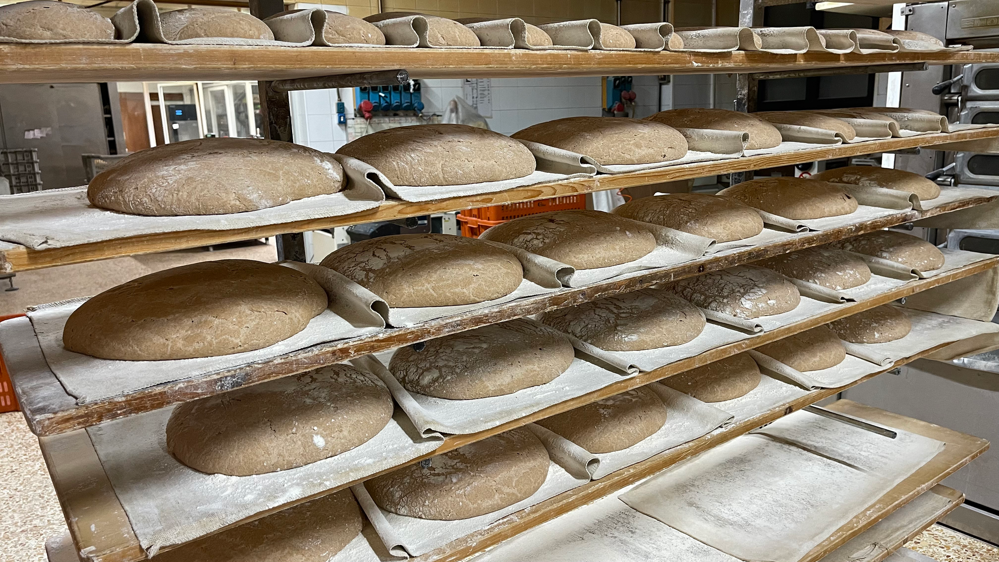 The Italian Art of Baking Bread