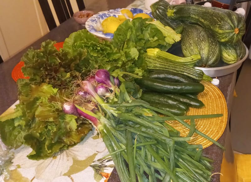 Cultivating an Orto: An Appreciation Of The Rhythm Of Nature