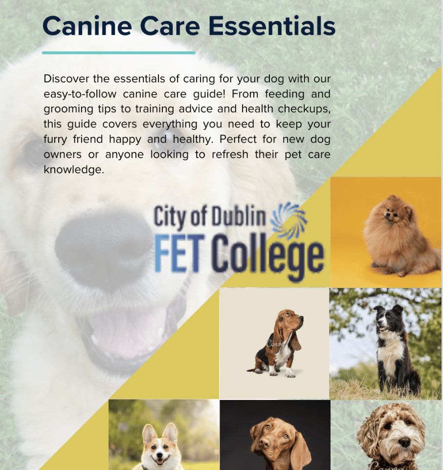 Launch of Canine Care Essentials Resource