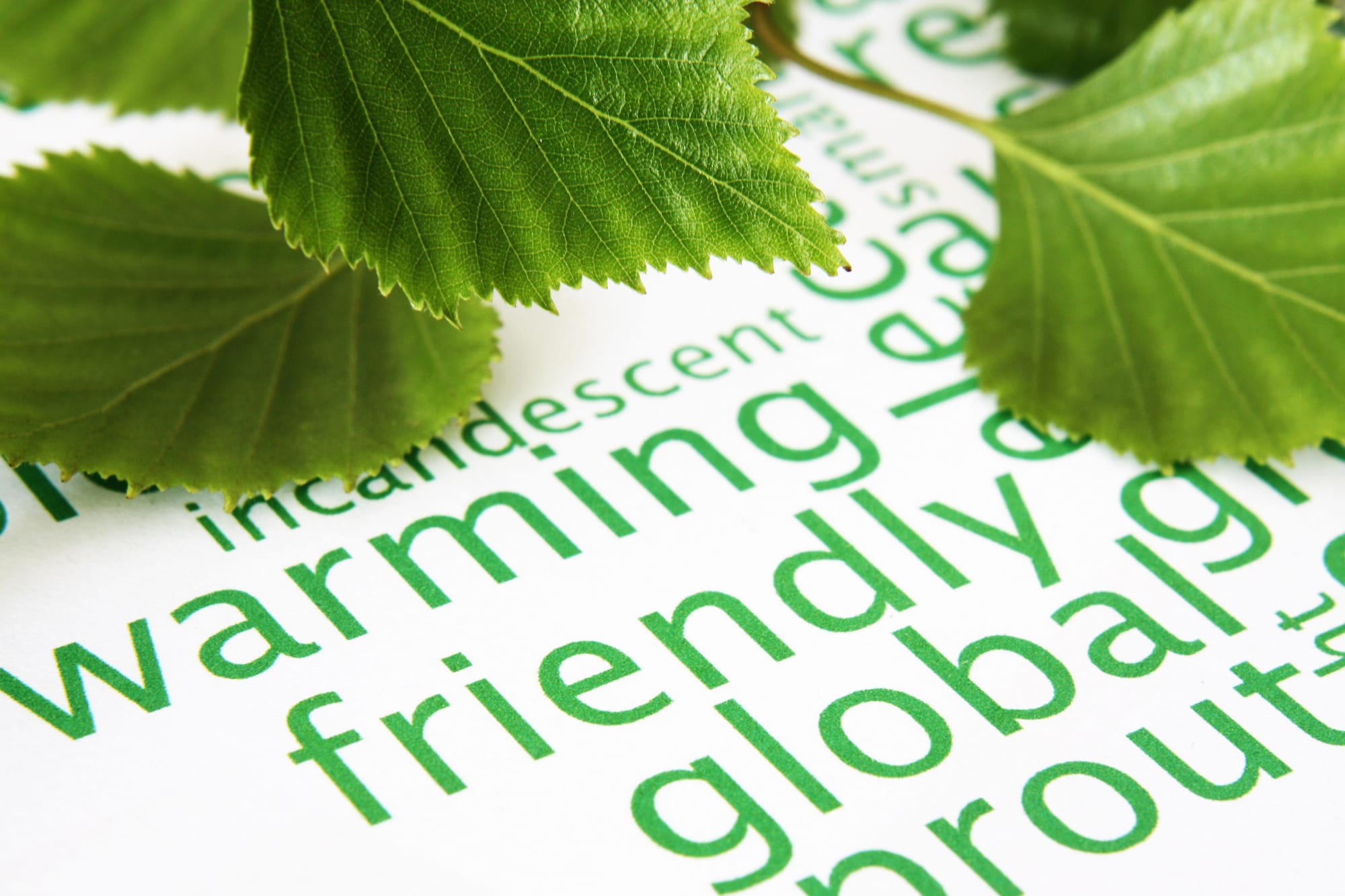 An Taisce’s Green Campus Programme