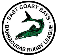 ECB Barracudas Premier Mens vs Waiuku TOA Brothers