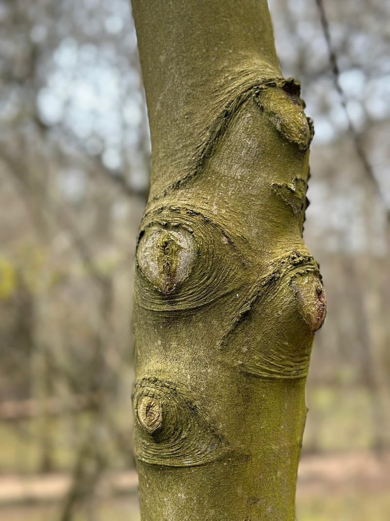 History & Nature holding hands