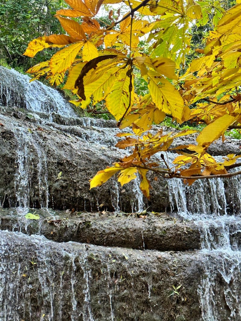 History & Nature holding hands