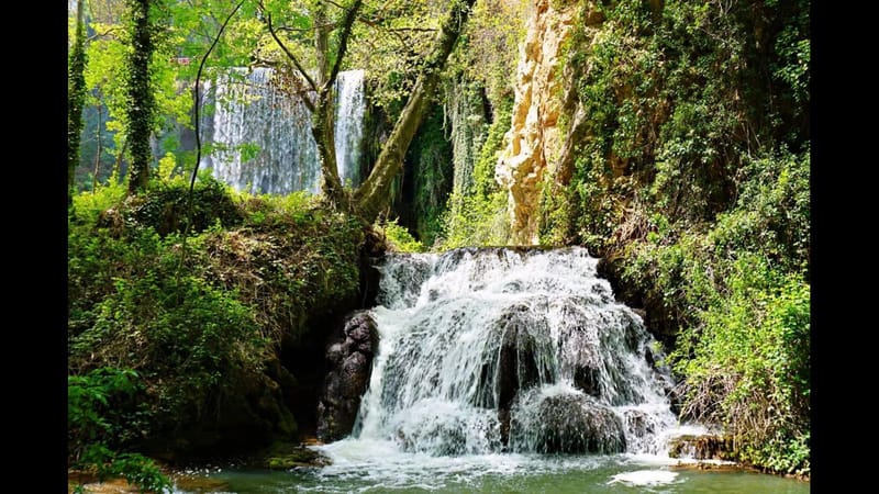 History & Nature holding hands
