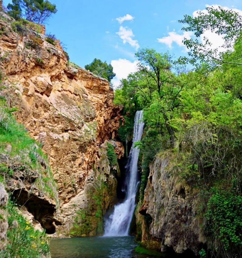 History & Nature holding hands
