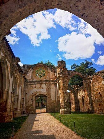 History & Nature holding hands
