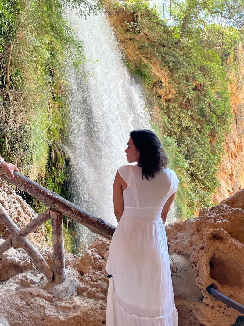 History & Nature holding hands