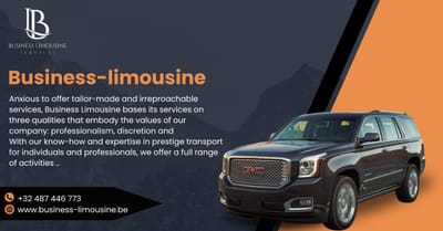 Luxury Minivan with Driver