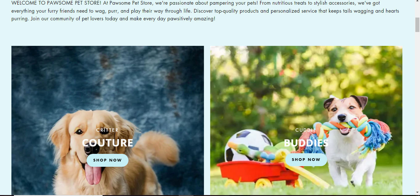 WEBSITE DESIGN