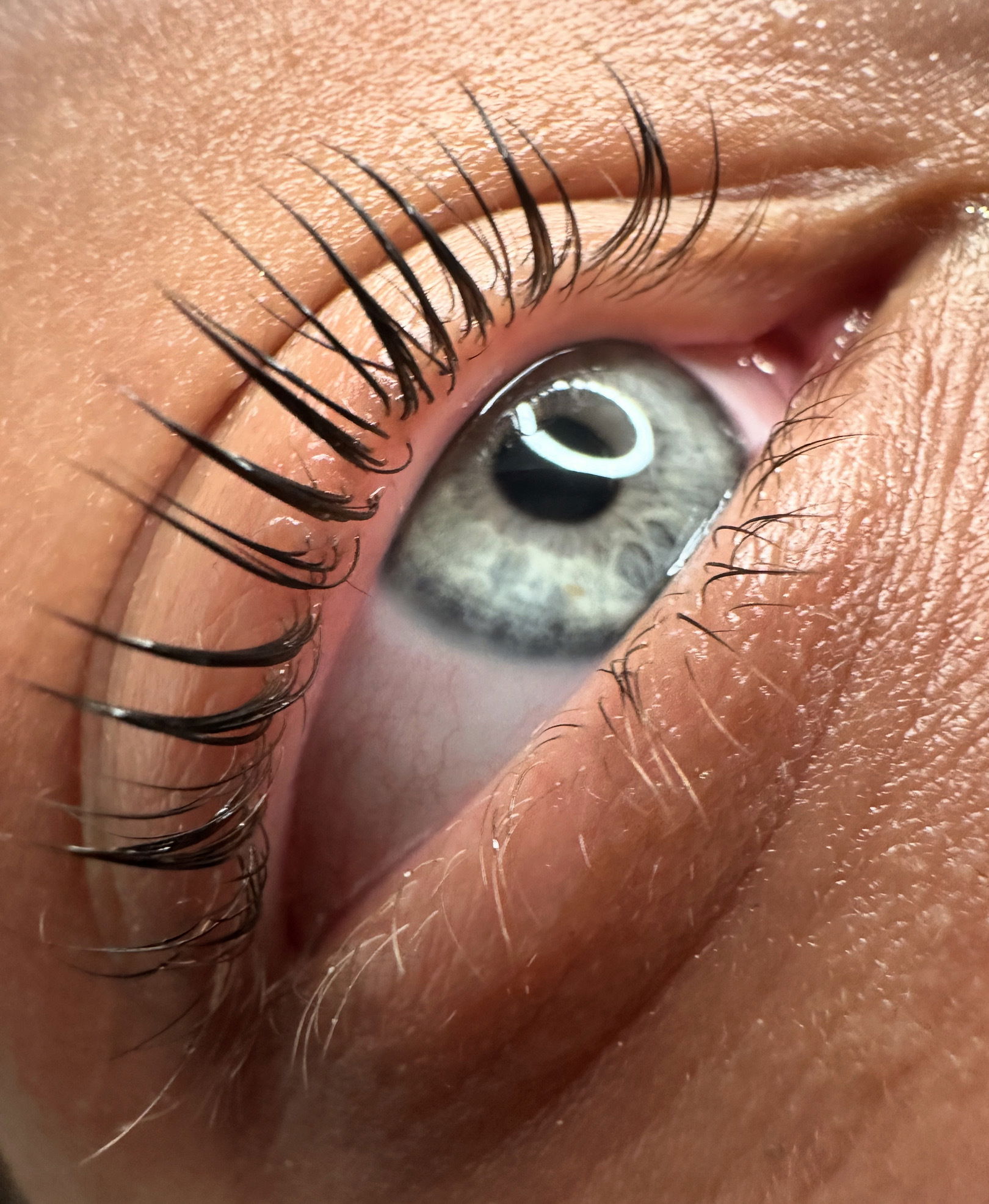 ✨ Laminazione Ciglia: Sguardo Naturale e Intenso ✨