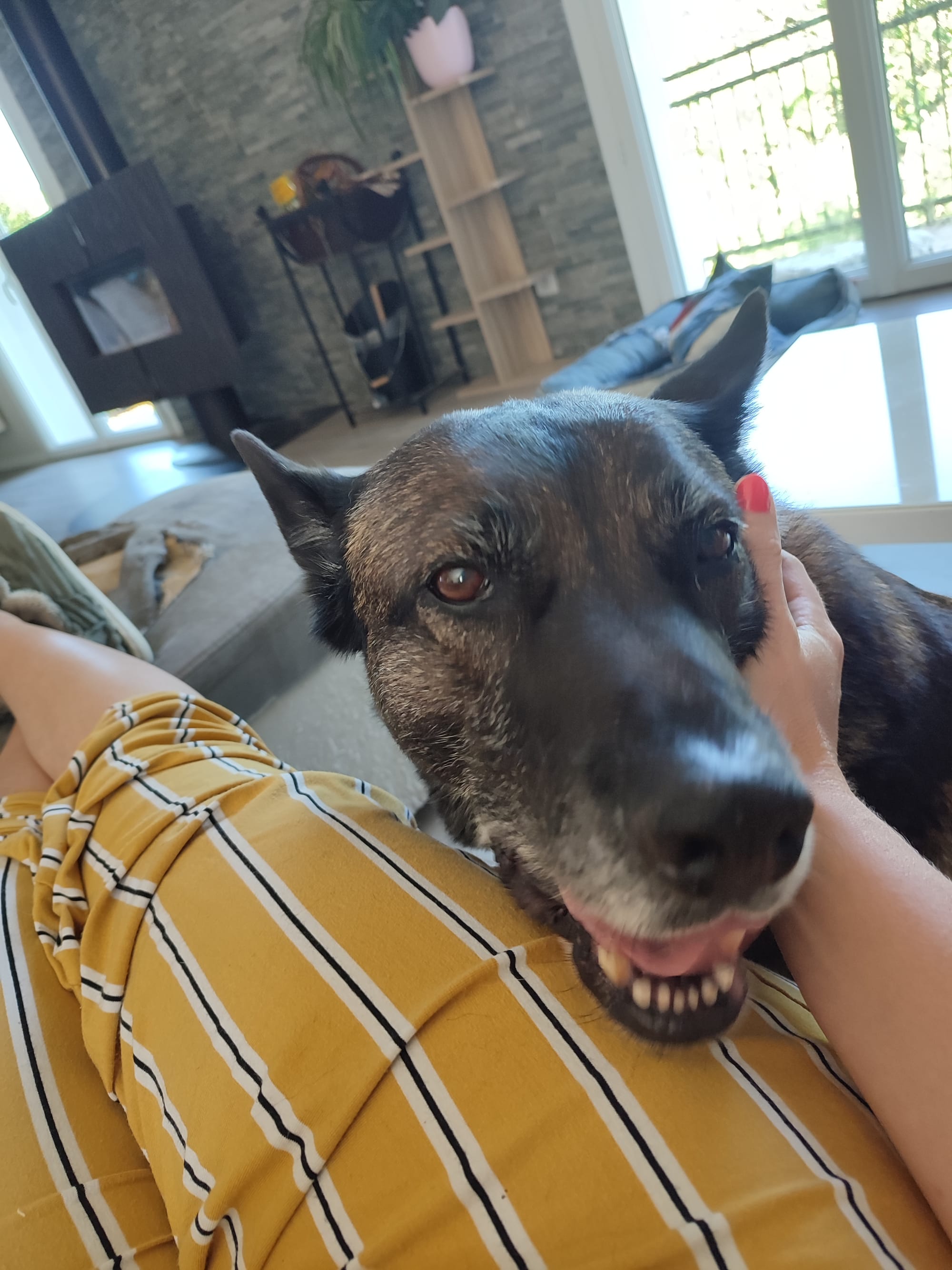 Jaika ! Notre pensionnaire la plus fidèle !